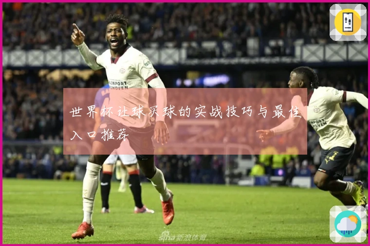 世界杯让球买球的实战技巧与最佳入口推荐