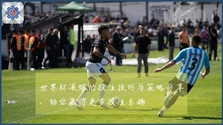 世界杯滚球的投注技巧与策略分享,助你赢得更多投注乐趣