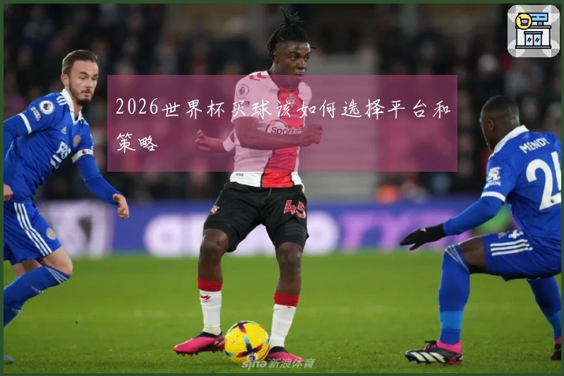 2026世界杯买球该如何选择平台和策略