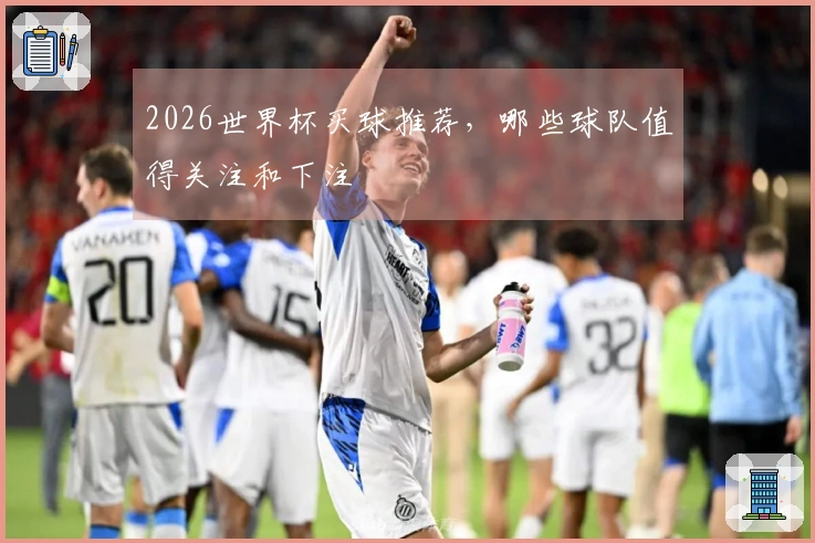2026世界杯买球推荐，哪些球队值得关注和下注