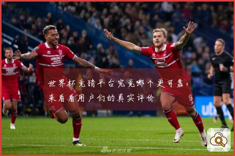 世界杯竞猜平台究竟哪个更可靠，来看看用户们的真实评价