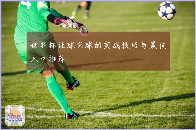 世界杯让球买球的实战技巧与最佳入口推荐