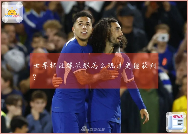 世界杯让球买球怎么玩才更能获利？