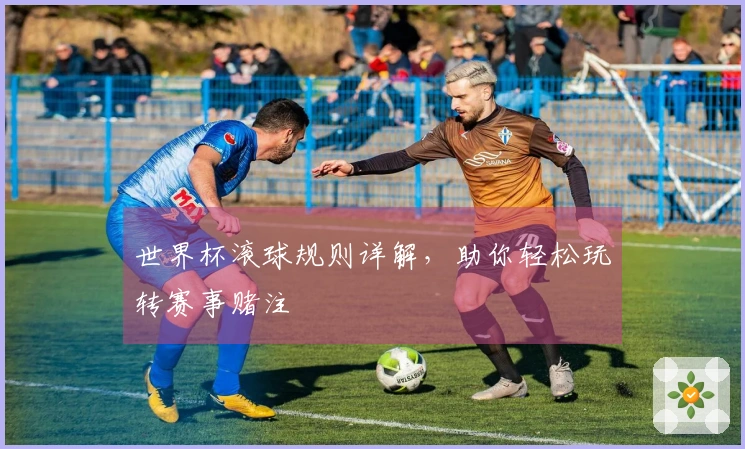 世界杯滚球规则详解,助你轻松玩转赛事赌注