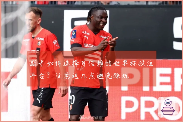 新手如何选择可信赖的世界杯投注平台？注意这几点避免踩坑