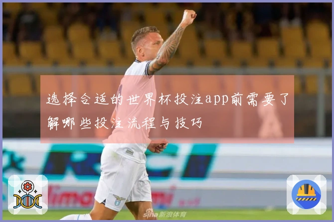 选择合适的世界杯投注app前需要了解哪些投注流程与技巧